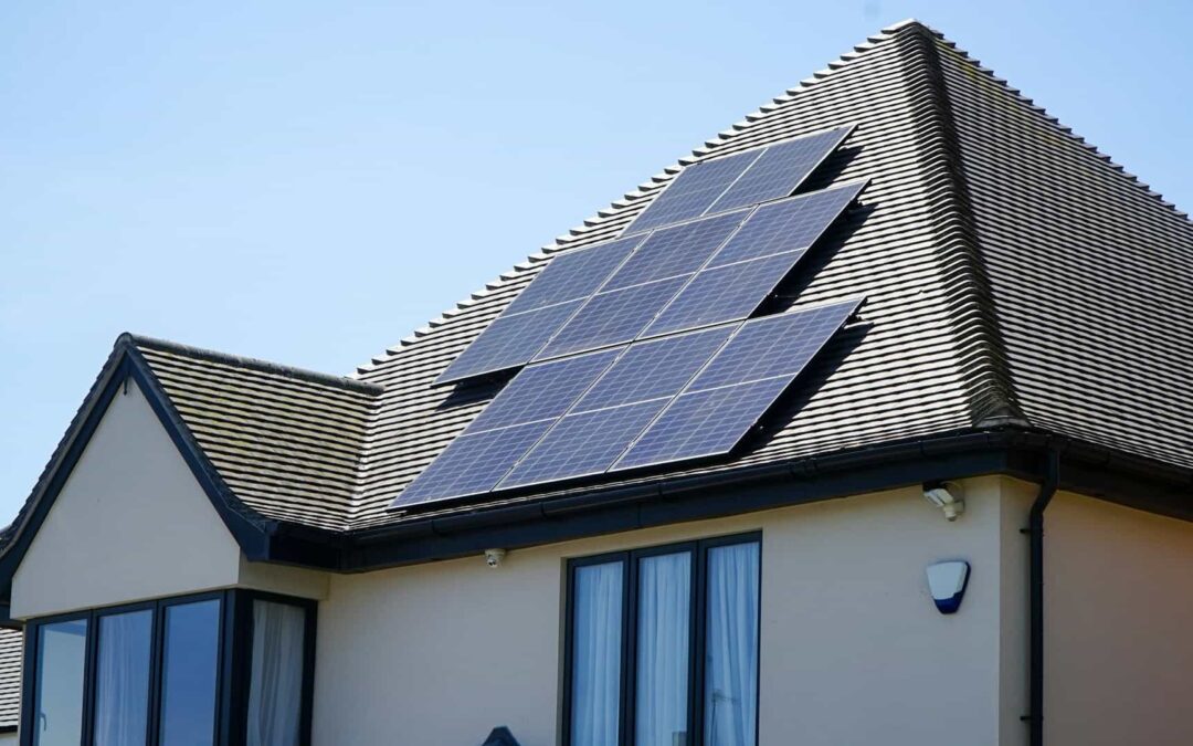 Simple Ways to Go Green Now Without Spending Too Much